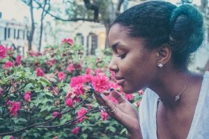 herramientas de jardinería